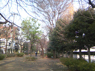 20071217_1ryokudou