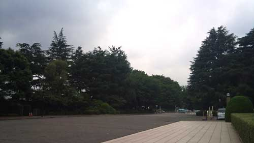 20110617_jingu1